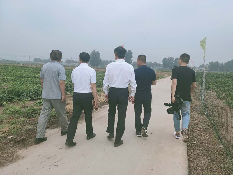 校地?cái)y手 推進(jìn)牡丹產(chǎn)業(yè)發(fā)展