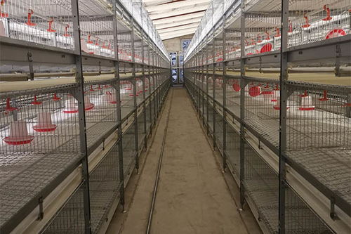 淮南肉鸡养殖加温设备批发价格,养鸡加温地暖设备