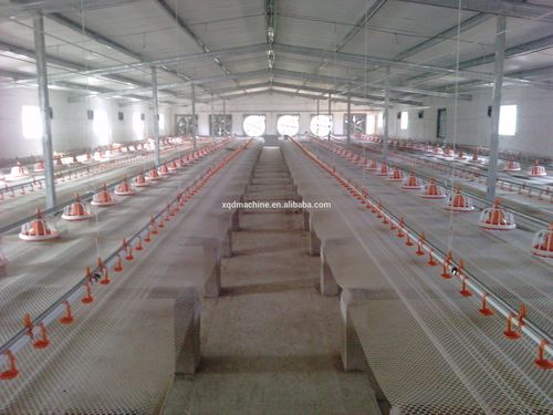 自动家禽鸡舍肉仔鸡房地板地面饲料系统设备